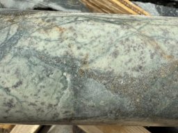 altered diorite with pyrite and chalcopyrite in veining and disseminated from az25-004 at 135 metres